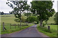 Track to Easter Logie, near Forneth