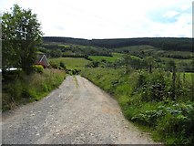 H4781 : Country road, Cullion by Kenneth  Allen