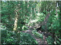 Footbridge in Fairy Glen