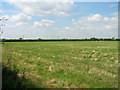 Farmland, Barrow Haven