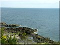 Rocky coastline