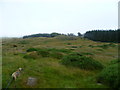 On Irton Pike