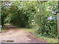 Footpath to Buckleswood Road & entrance to Fisher