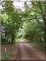 Footpath to Buckleswood Road & entrance to Fisher