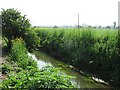 Mill Stream, Baltonsborough