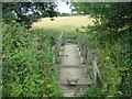 TQ4142 : Footbridge near North Lodge by David Anstiss