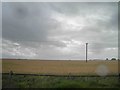 Flat landscape and a harvest waiting for the rain to stop