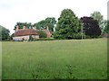 View across field from Eldon Lane to Hall Place