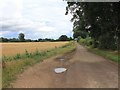 Lane towards Chiltern Green