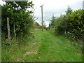 Part of the Landsker Borderlands Trail