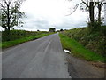 Lane approaching Crosshands from Llanboidy