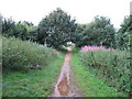 Path near Alton Water