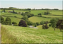 ST0119 : Towards Slantycombe Farm by Derek Harper