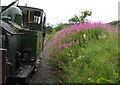 Welshpool & Llanfair Light Railway near Cyfronydd