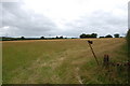 Field with rusted farm equipment