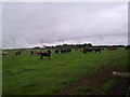 Distant view of Haswell Moor Farm