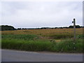 TM4262 : Footpath to Knodishall Green by Geographer