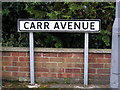 Carr Avenue sign