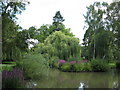 Pond in Woking Park