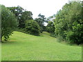 Greenery in the middle of the Gaer, Newport