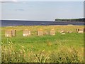 World War Two coastal defences