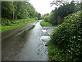 Hurlands Lane south of Dunsfold