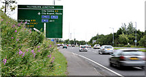 J3876 : Direction sign, Knocknagoney, Belfast by Albert Bridge
