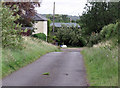 Track to Railway Cottage