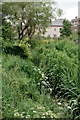 Gairie Burn in the centre of Kirriemuir