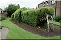 Willow crocodile in the J. M. Barrie garden, Kirriemuir