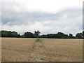 Footpath over field