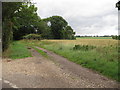 Folly Lane and field near Apple Tree Farm