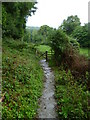 Bridlegate near Waterfall Cottage