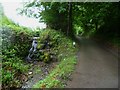 Waterfall near Waterfall Cottage