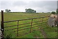 Fields Above Taddington