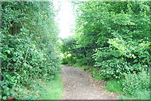 SU9031 : Serpent Trail by N Chadwick
