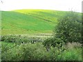 Arable land, Waterloo