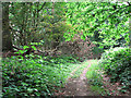 Track to Wroxham Road, Wroxham