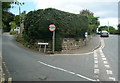 Steeple Lane, Carbis Bay