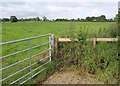 Field near Langley Burrell