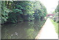 SP0484 : Worcester and Birmingham Canal by N Chadwick