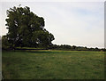 Evening view across the fields.