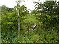 Wobbly stile and lots of nettles