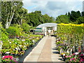 Display area at Coinros Nurseries