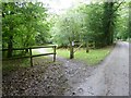TQ0132 : Permit only access for horses into Hog Wood by Dave Spicer