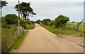 Crossing Gwinear Road