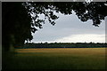 Field and trees near Braideston