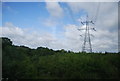 Pylons on the Aveley Marshes