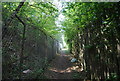 Footpath to Horn Street