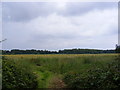 TM4365 : Field next to the footpath to Moat & Pretty Roads by Geographer